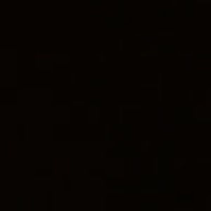 Meet your Posher, Sidney